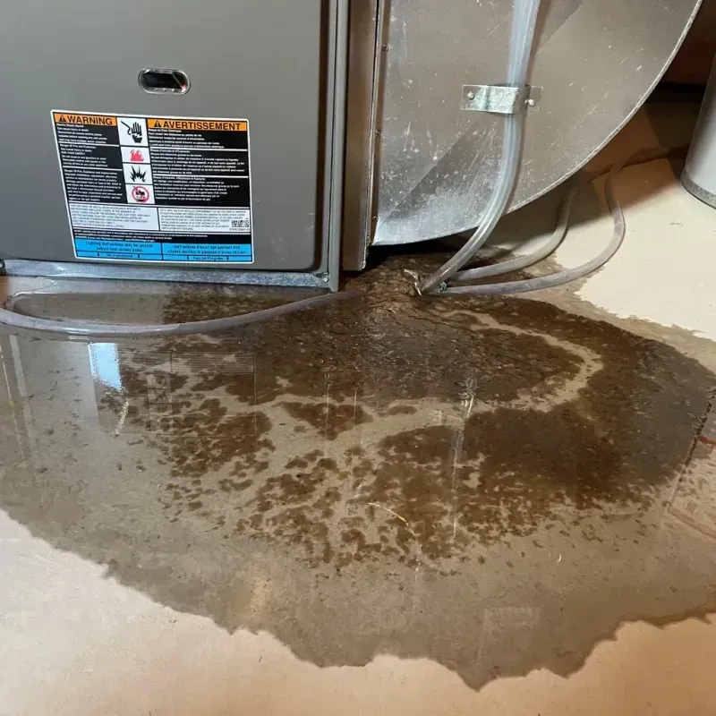 Appliance Leak Cleanup in Larose, LA